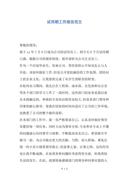 灯台维修人员试用期报告解读