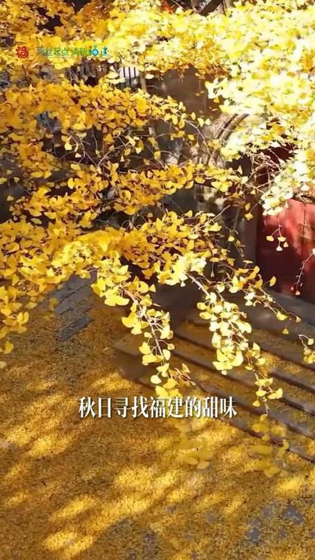 灶具维修经验总结报告_以精湛技艺守护家庭烹饪安全