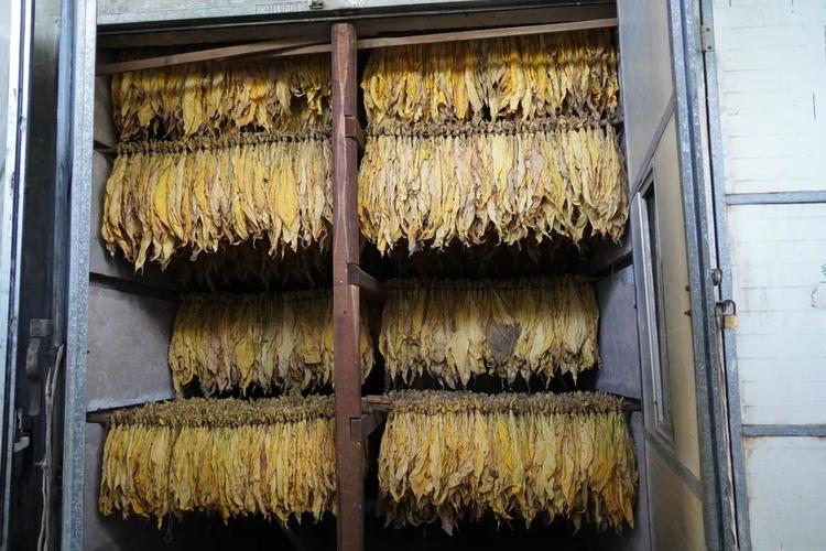 烤房电路维修:保障烟叶品质,提升产业发展