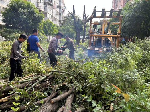 物业维修物资申请报告:保障社区和谐,筑牢家园基石