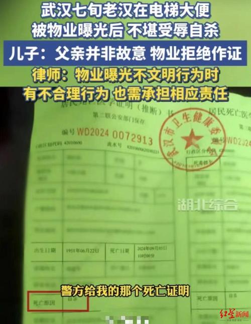 物业花坛维修申请报告解读与前瞻