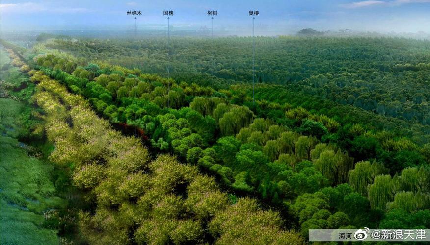 玻璃幕墙维修报告介绍:守护城市景观的“绿色屏障”
