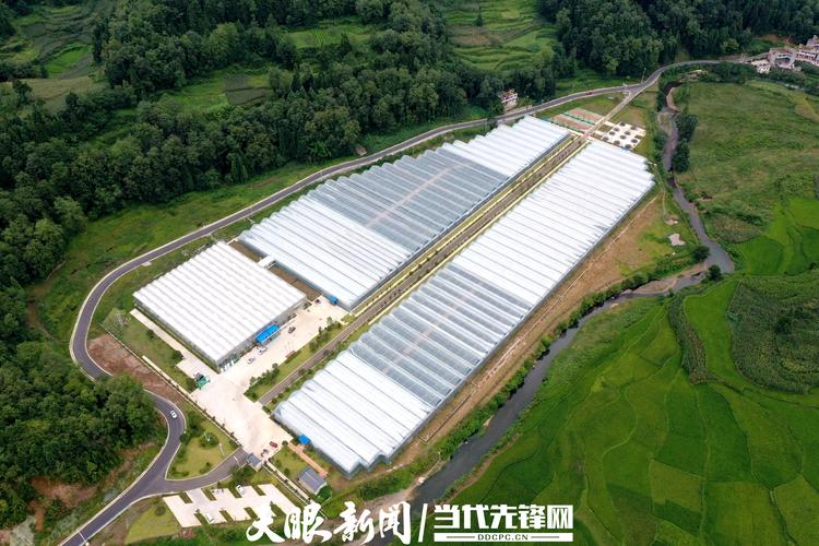玻璃温室大棚维修报告解读:提升农业效益,助力乡村振兴