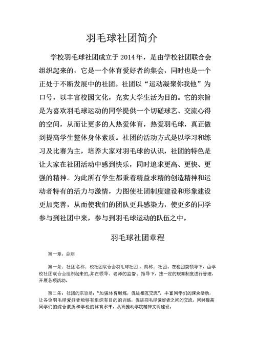 球场维修申请报告解读:提升运动环境,铸就健康未来