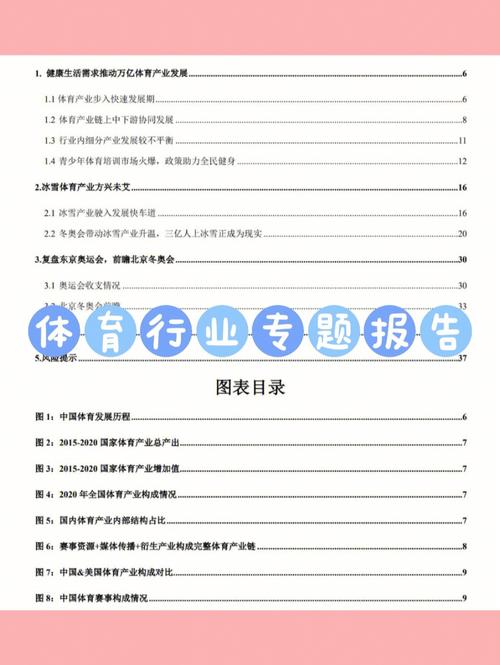 田径场地维修报告解读:提升竞技水平,助力体育事业发展
