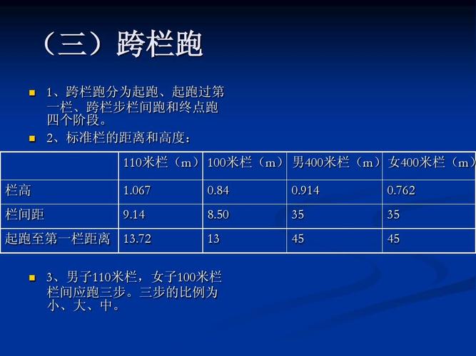 田径馆维修报告解读：守护运动精神的守护神