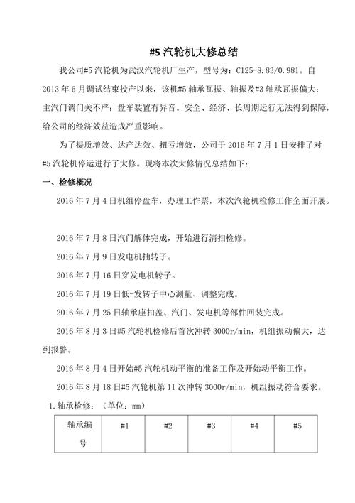 电力系统维修小结报告_以某电厂为例