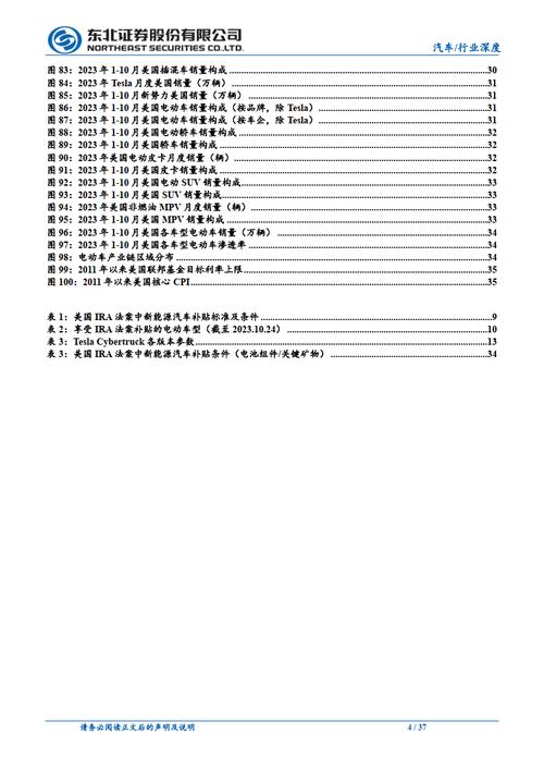 电动车维修行业年度总结报告解读与未来展望