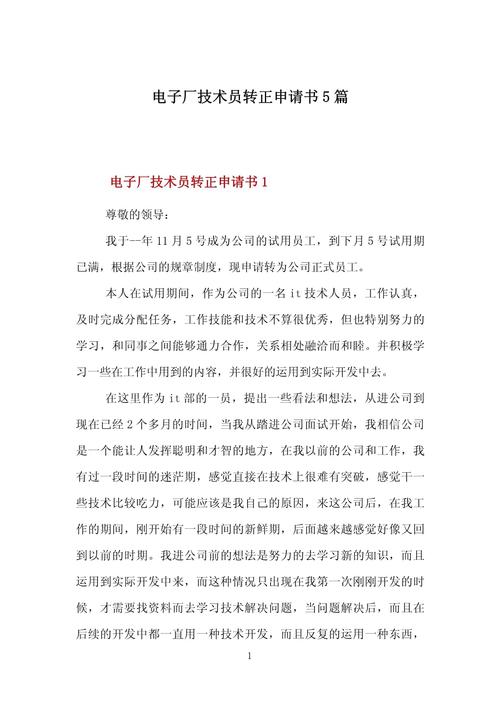 电子维修转正总结报告_技能提升与职业发展的双重奏