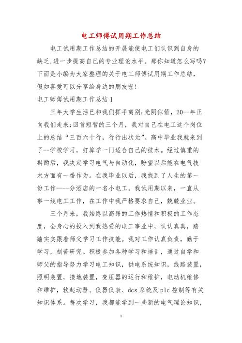 电工维修试用期总结与展望