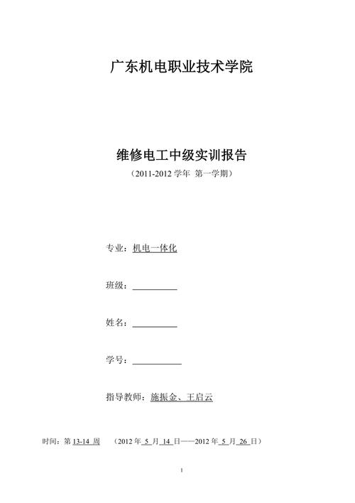 电工维护与维修实训报告介绍