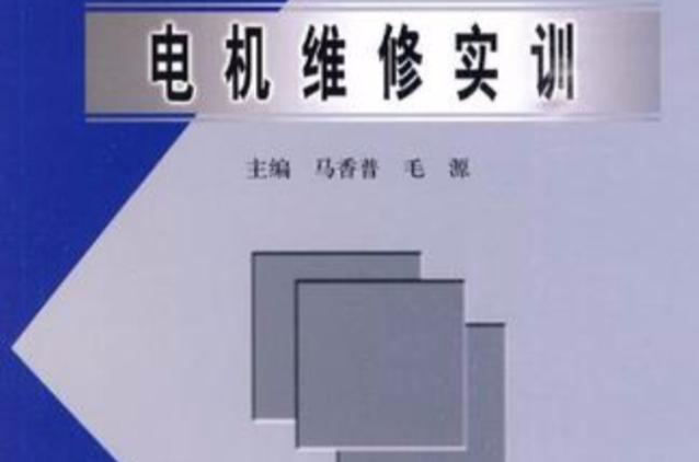 电机基础及维修实训:理论与方法相结合的探索之旅