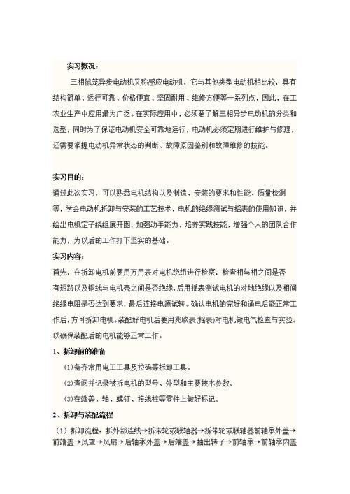 电机外送维修报告解读:技术革新与设备维护的交响曲