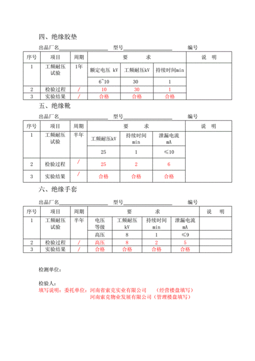 电机维修工报告解读：技术创新与安全保障的典范
