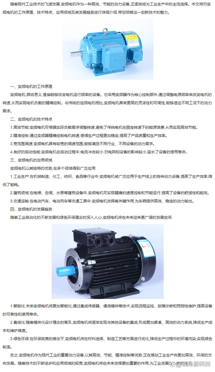 电机维修报告介绍:技术革新与设备维护的艺术