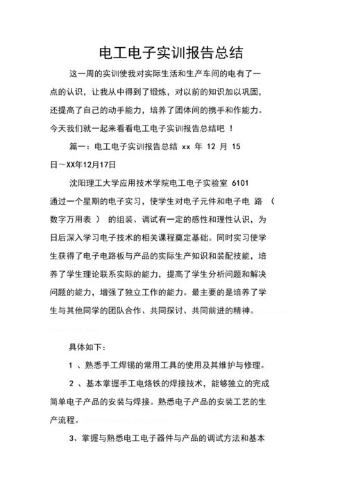 电路维修实训报告总结与展望