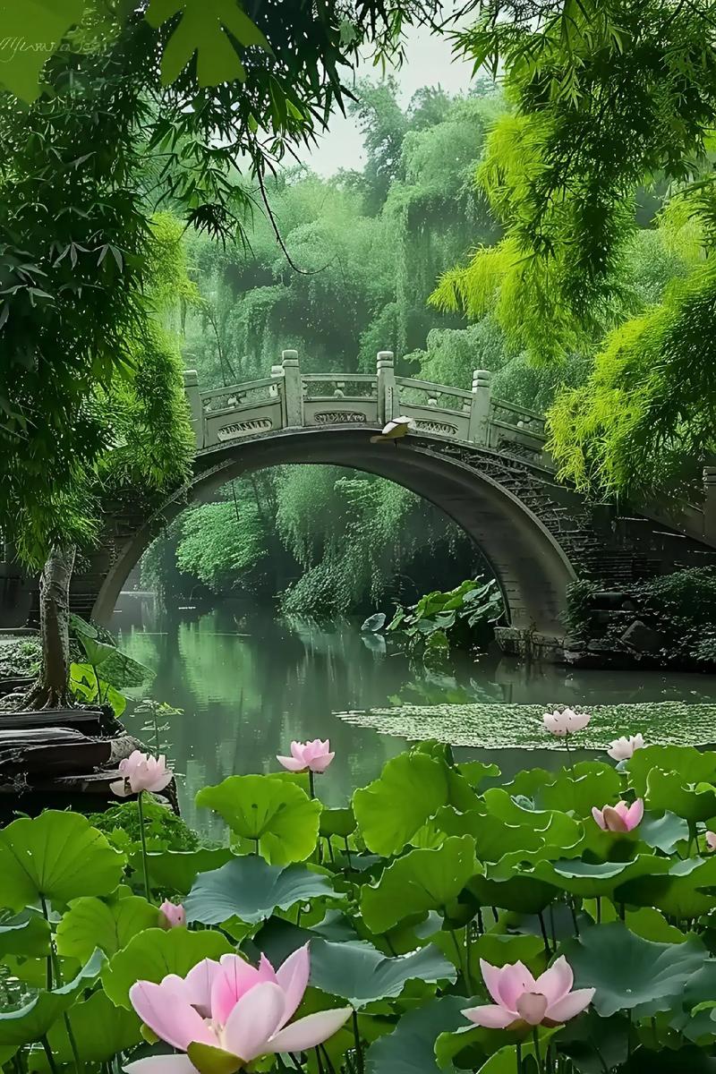 石拱桥维修资金申请:守护历史,筑梦未来