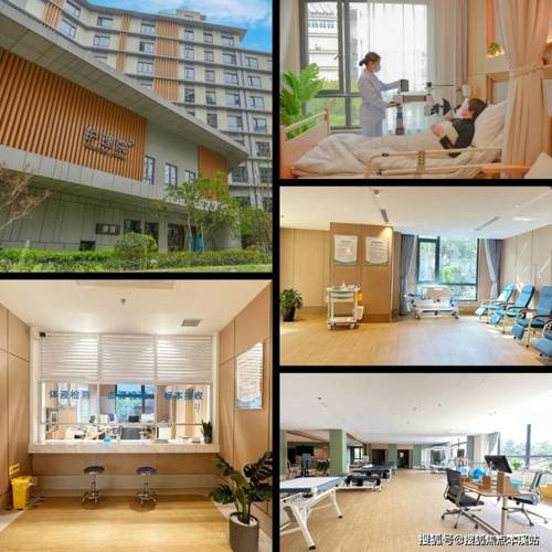 社区窗户维修申请报告解读:守护家园,从细节出发