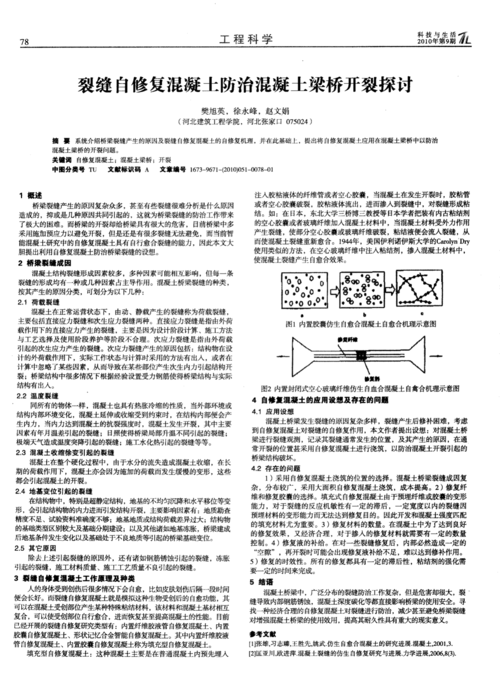 科学修复,守护家园_漏水开裂维修报告解读
