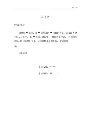 空维修申请报告_构建航空安全新篇章