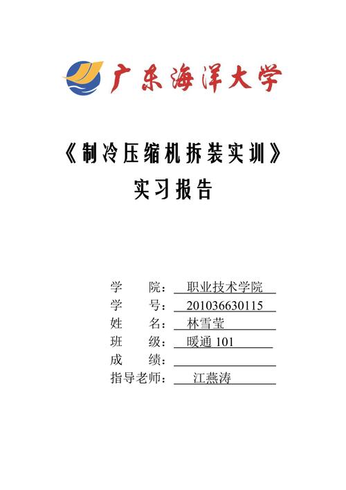 空调压缩机维修实训报告解读:技术提升与行业展望