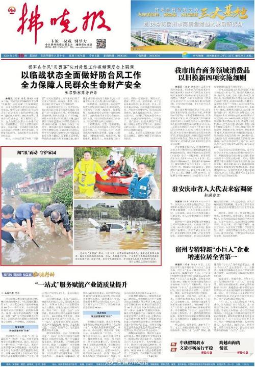 筑牢安全防线,守护家园之美_围墙维修报告解读