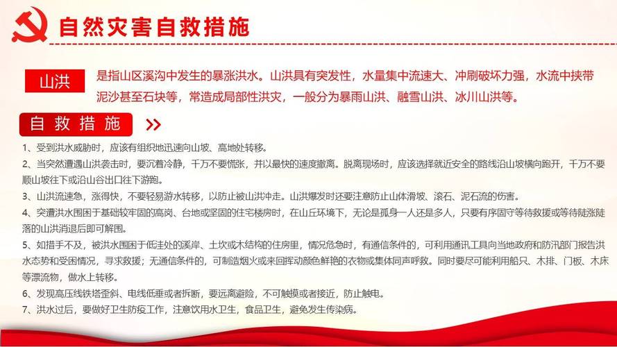 筑牢防洪屏障,守护家园安宁_论防洪提维修加固的重要性与成果