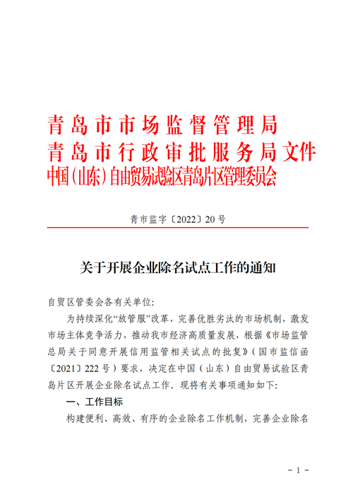 管道维修业绩报告_聚焦质量与创新