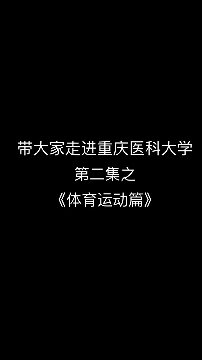 篮球场维修申请报告_重塑体育设施，激发运动热情