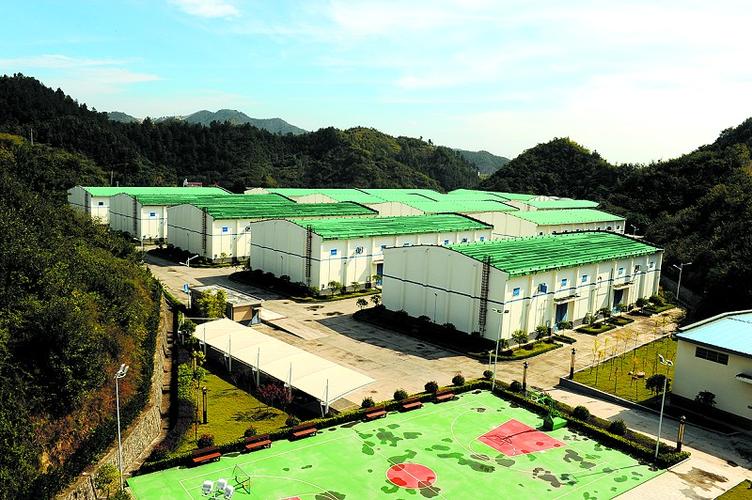 粮仓屋面维修报告解读:传承与创新守护粮仓安全