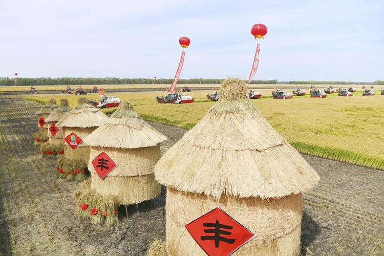 粮仓顶维修:守护粮食安全的坚实堡垒