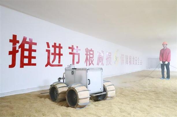 粮库仓库维修:筑牢粮食安全防线,保障国家粮食储备