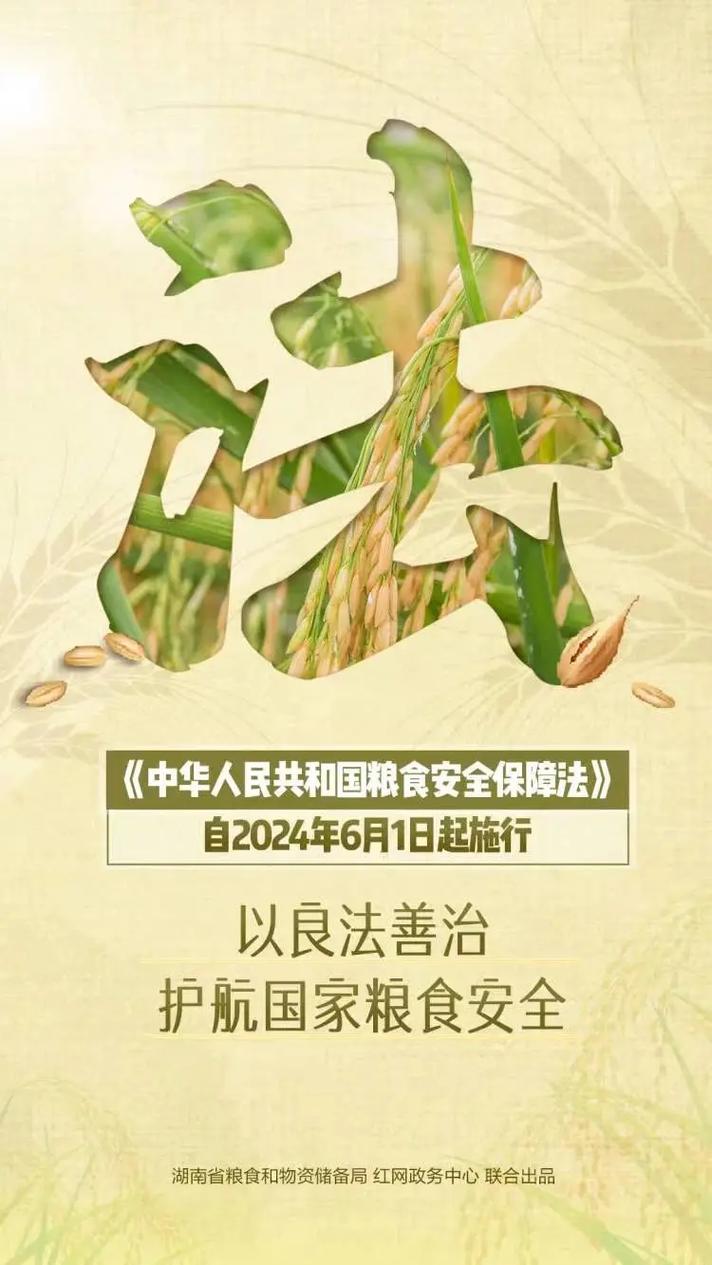 粮库维修工程:筑牢粮食安全防线,保障国家粮食安全