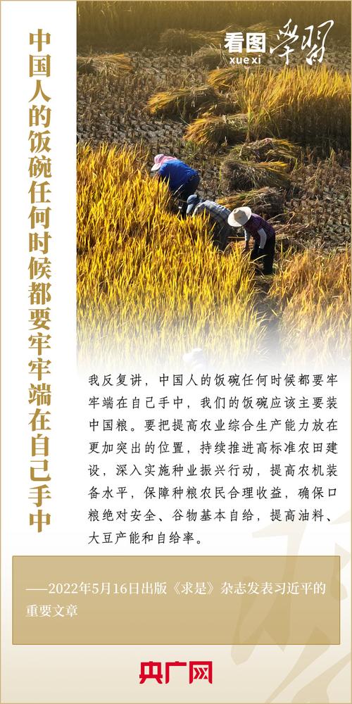 粮库维修:筑牢国家粮食安全防线