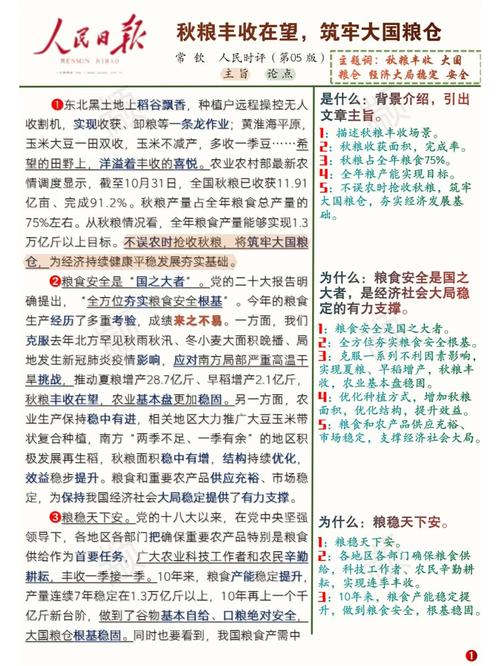 粮库设备维修报告_确保粮食安全，筑牢仓储防线