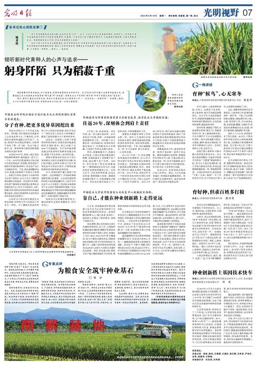 粮食仓库维修费申请报告解读:保障粮食安全,筑牢民生基石