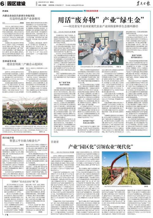 粮食清仓机维修报告介绍:技术创新助力粮食安全