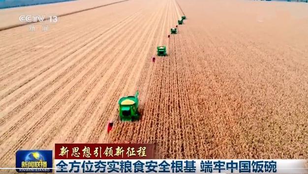 粮食维修改造项目:夯实国家粮食安全基石