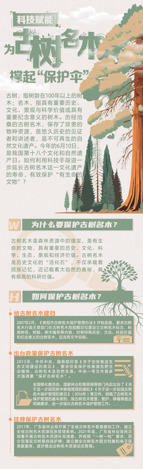 精准诊断,科技守护_车辆维修检测报告解读