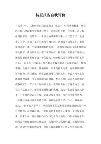 精益求精,匠心独运_店维修技师转正报告