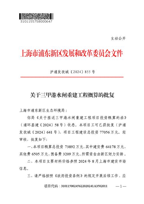 紧急维修水闸,保障民生安全_关于维修水闸的报告