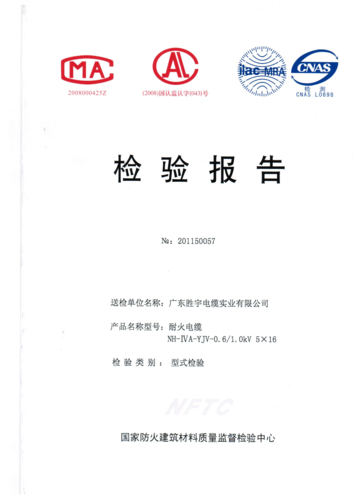 线路维修检验验收报告:质量把控,确保电力安全