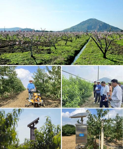 终端设备维修实训报告解读:技术与创新的交融