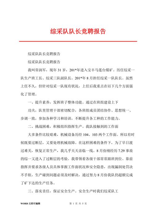 维修分队长竞聘报告