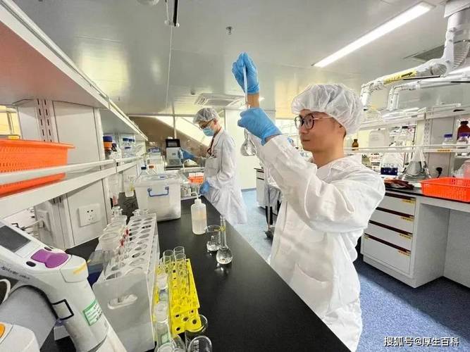 维修工程完成报告介绍_品质保障,技术革新,未来展望