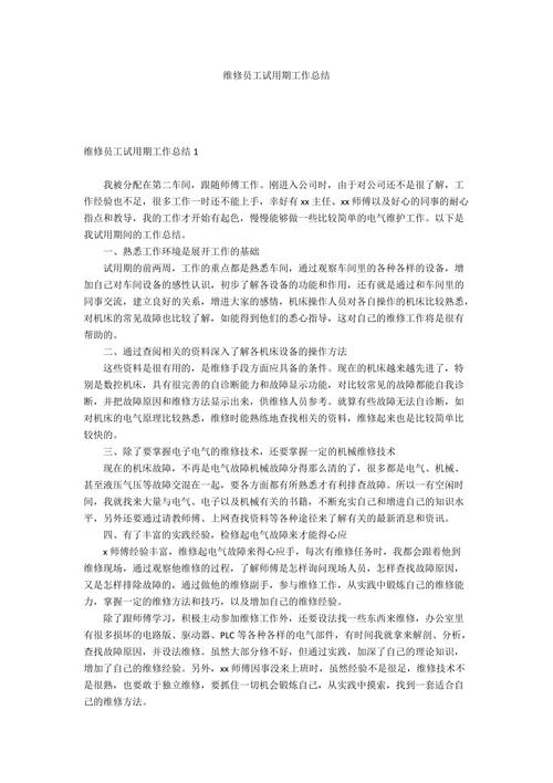 维修技师试用期总结报告:技能提升与职业素养的砥砺前行