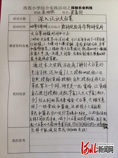 维修报告时间错位:一场技术追踪的探秘之旅