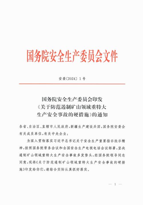 维修救生艇的请示报告:确保海上安全的重要举措