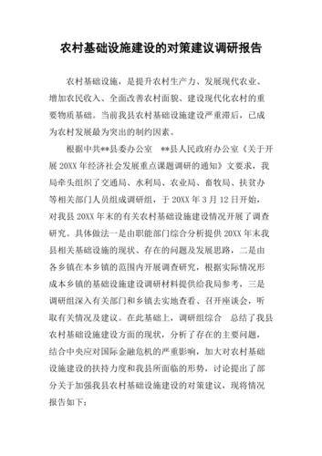 维修村委会报告:提升农村基础设施,助力乡村振兴