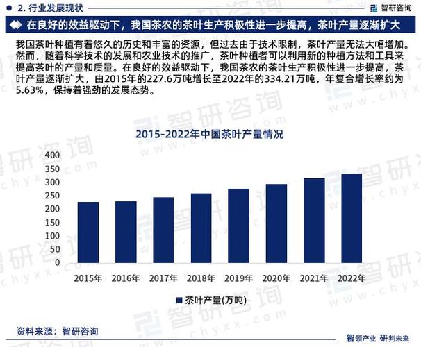 维修渠道资金报告解读:未来趋势与挑战并存